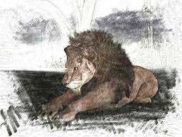 And then I saw that he was a great lion.