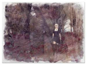 I just wanted to walk among the roses.