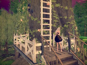 The first magical ladder.