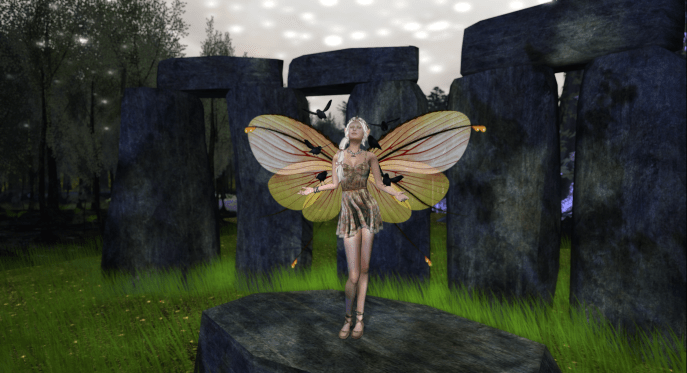 This post is about wings both literal and figurative.