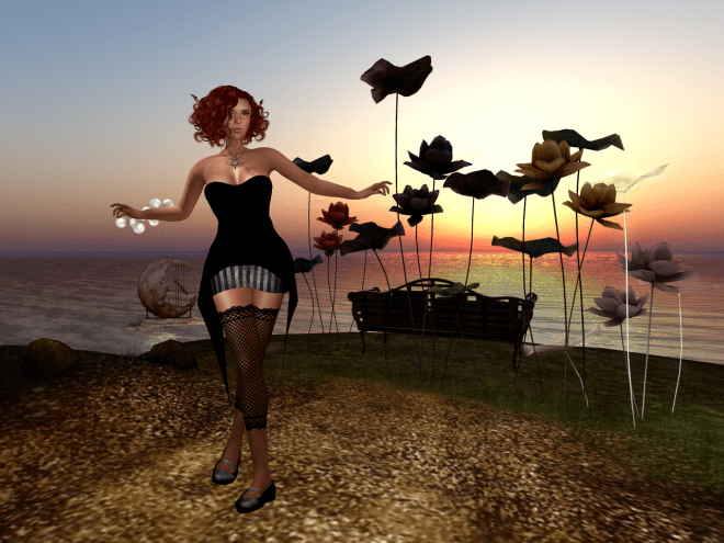 Sunset at Eclectica.