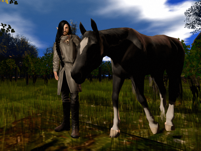 Then, of course, we checked the horse and saw to the wagons.