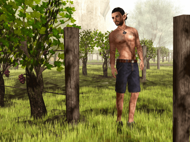 I tied my hair up, and when I got back, the boys had already tended a third of the little vineyard.