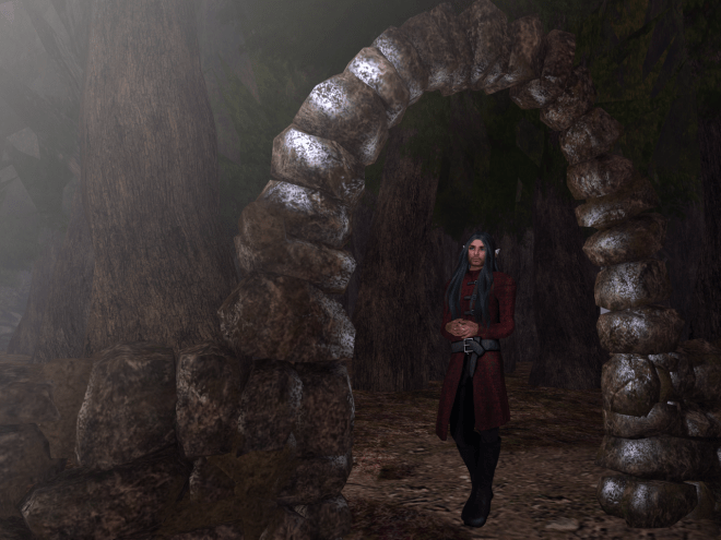 When I came to, I was standing in a forest.