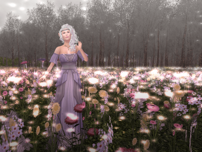 Another lilac picture, in our magical flower field. 