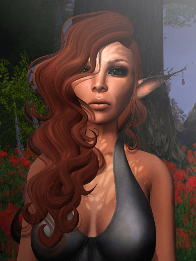 Here's a picture of Drysi up close.