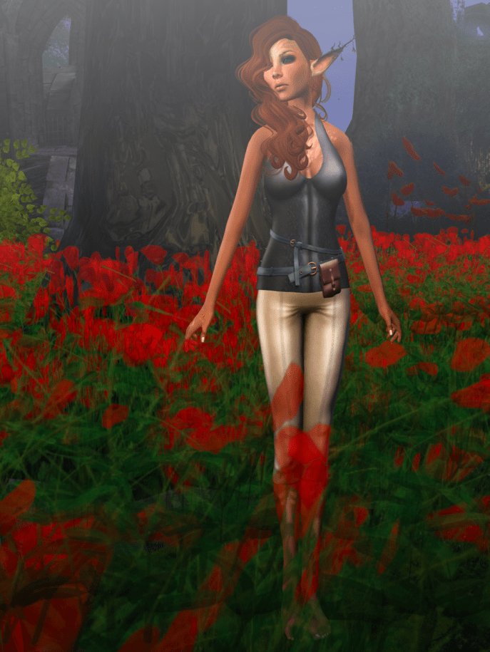 With no fear whatsoever, she stepped up out of the pool and greeted me.