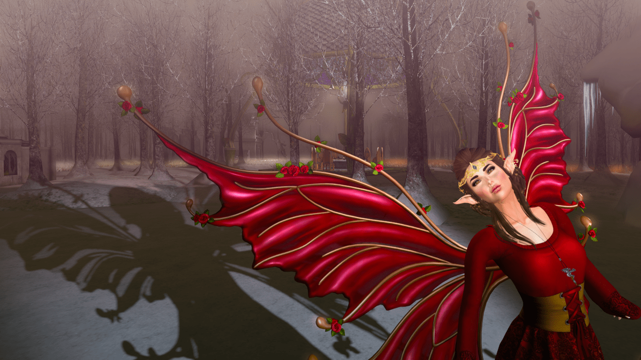 Dream of Winter BLOG - 2