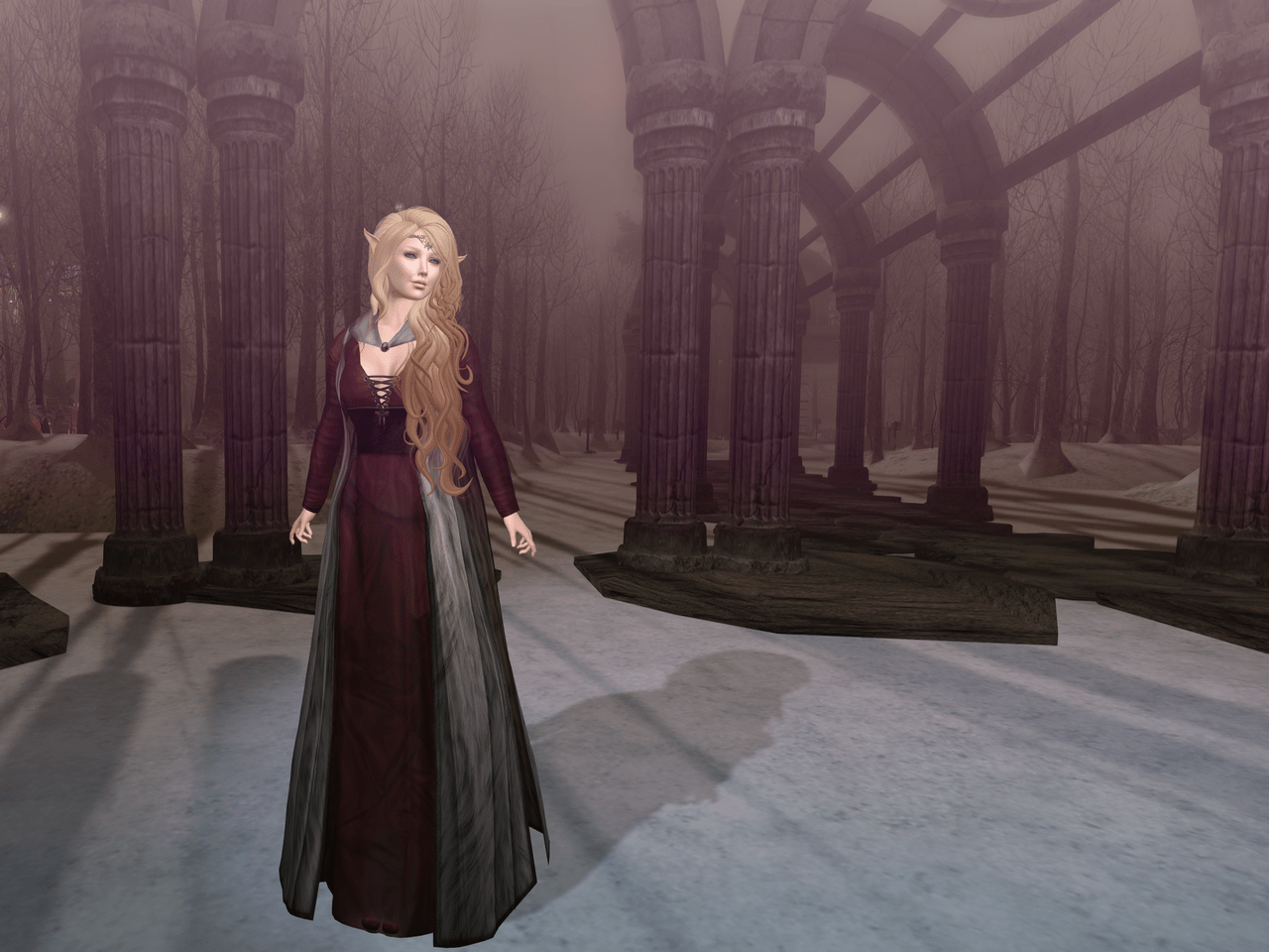 Walk The Land BLOG - 1