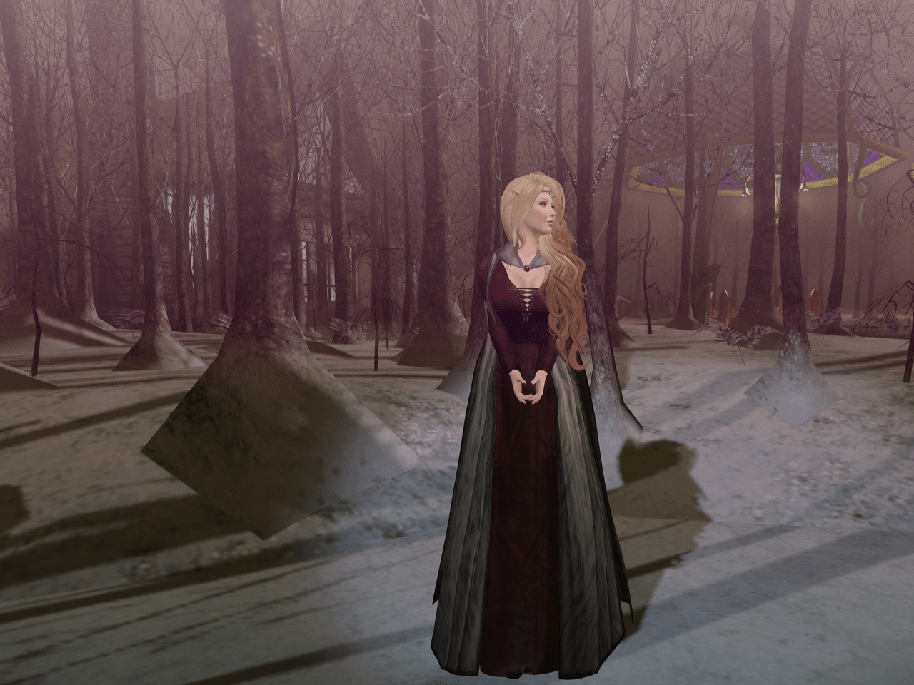 Walk The Land BLOG - 2