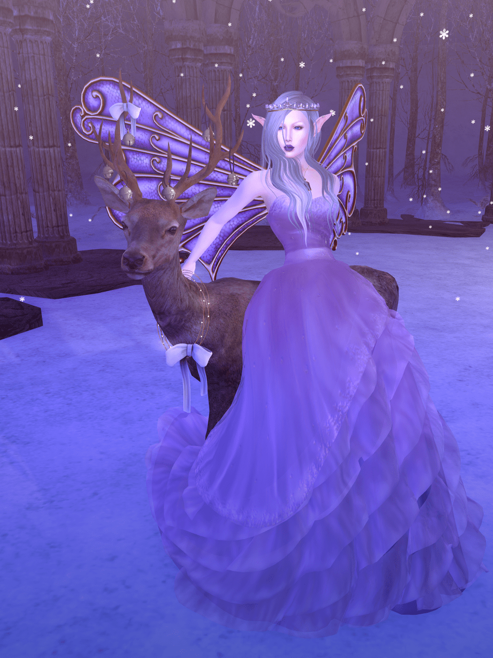 Winter's Night BLOG - 2