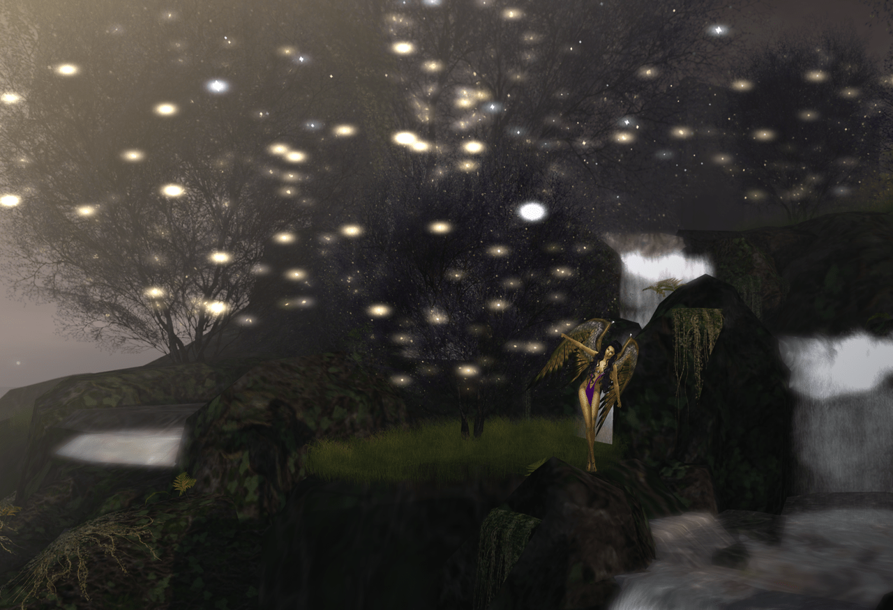 Gwyneth in Blackmoor BLOG - 5