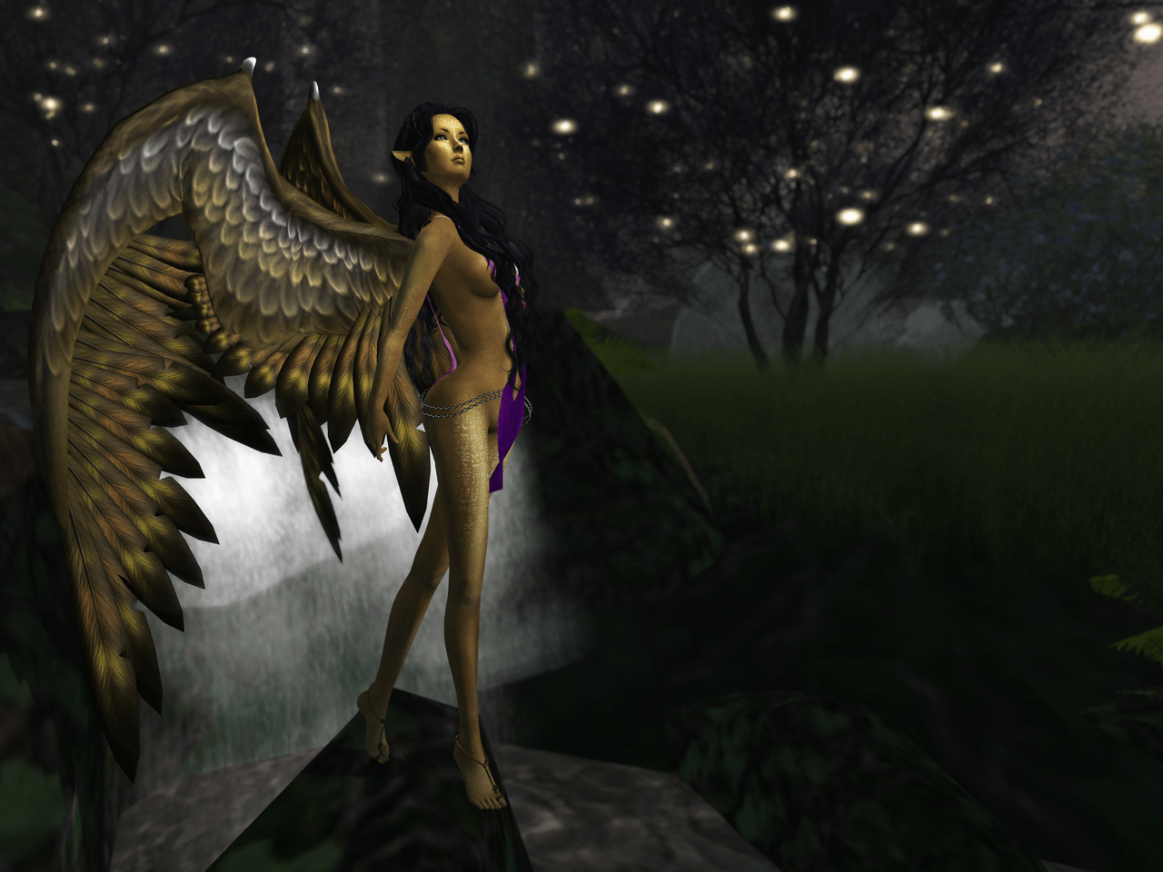 Gwyneth in Blackmoor BLOG - 8