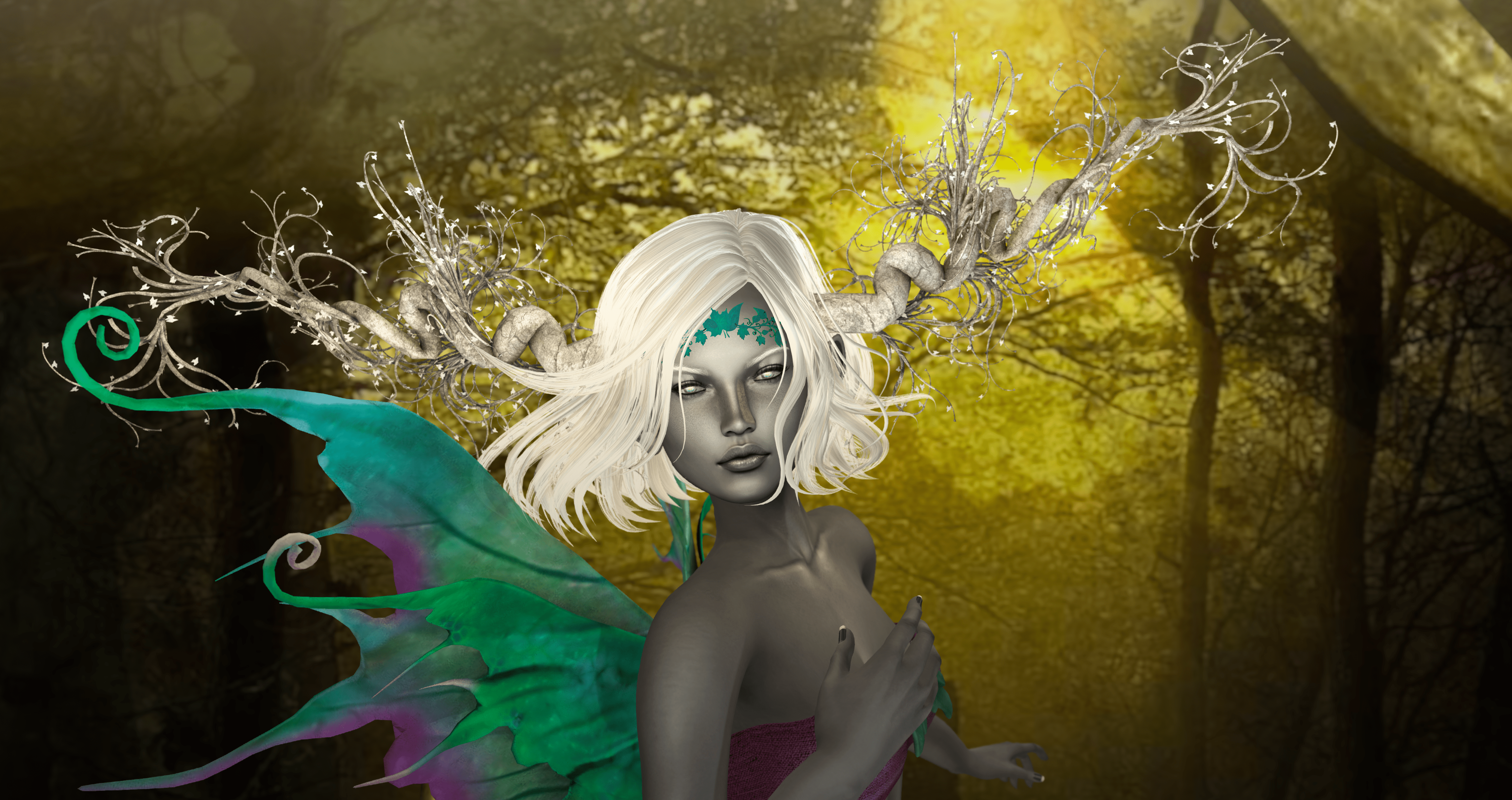 Drd Contest Final BLOG - 1