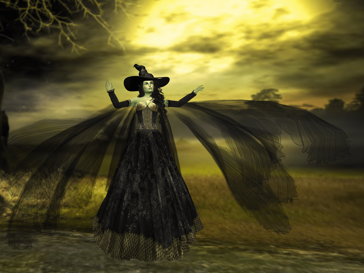 Wicked Witch BLOG - 5