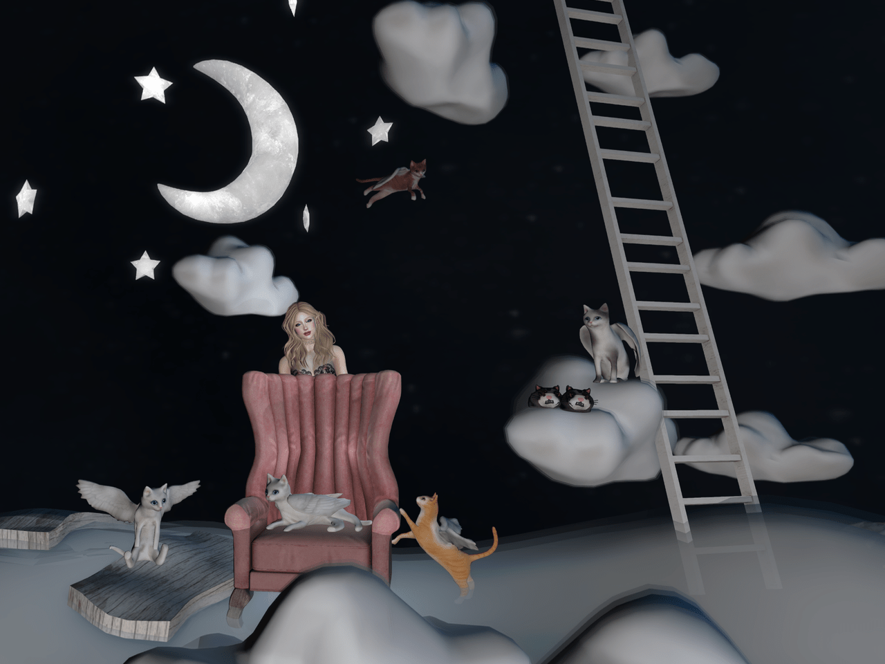 leave-your-cat-on-blog-6