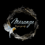 mesange-logo-noir