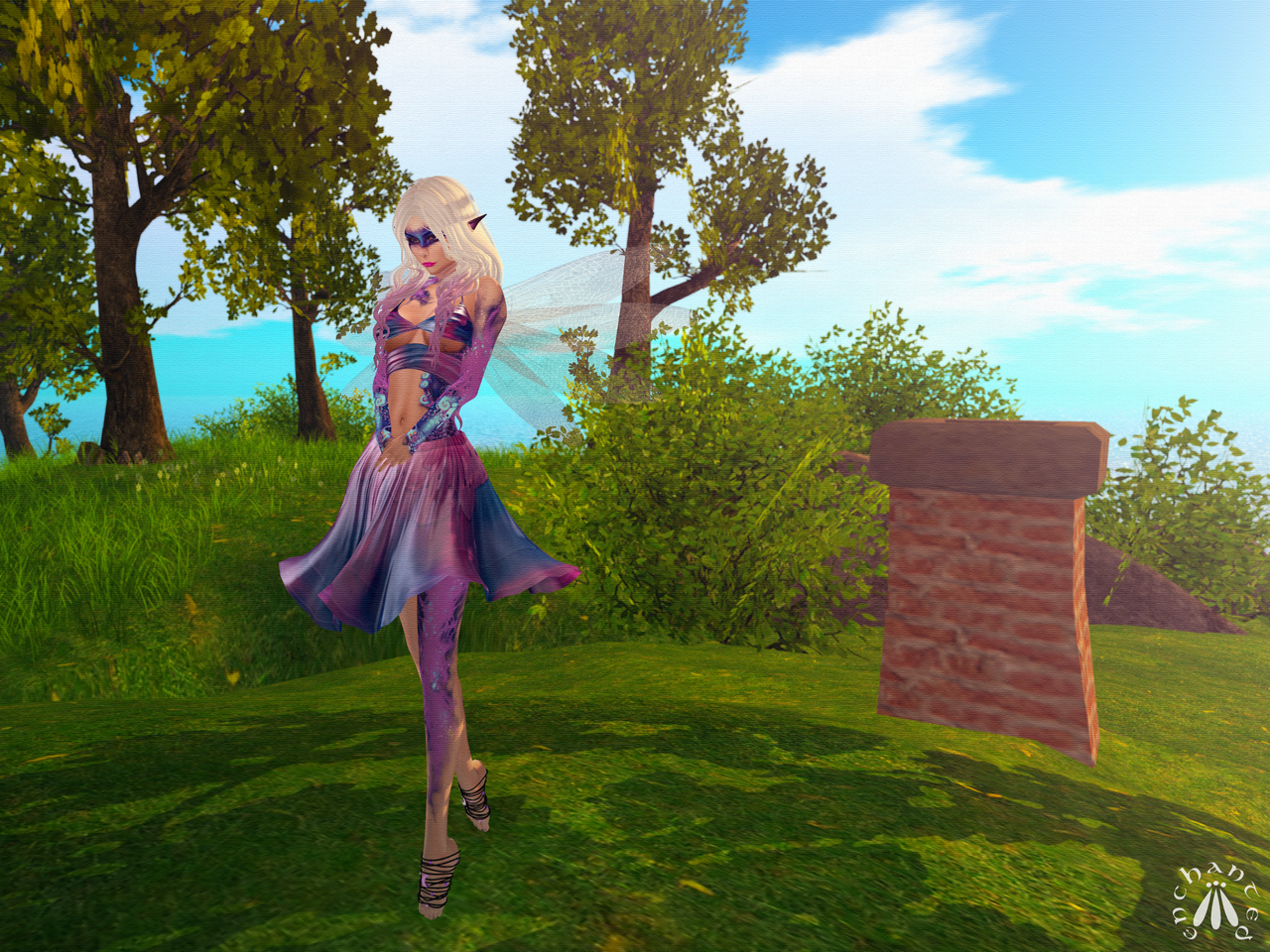 Dancing on the Hill BLOG - 4