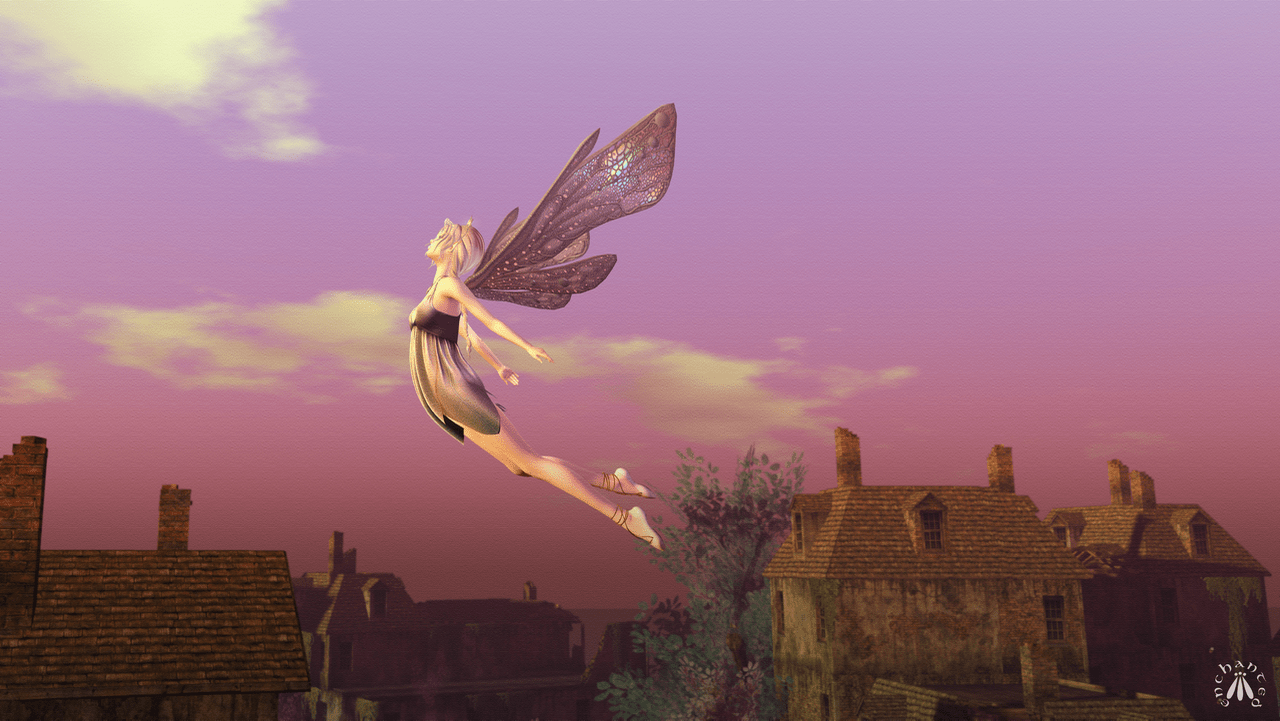 Dawn's Promise BLOG - 11