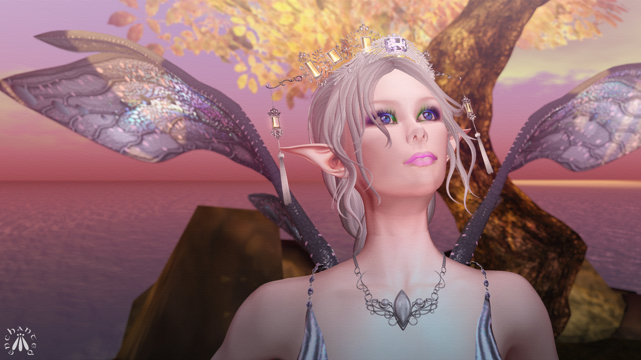 Dawn's Promise BLOG - 8