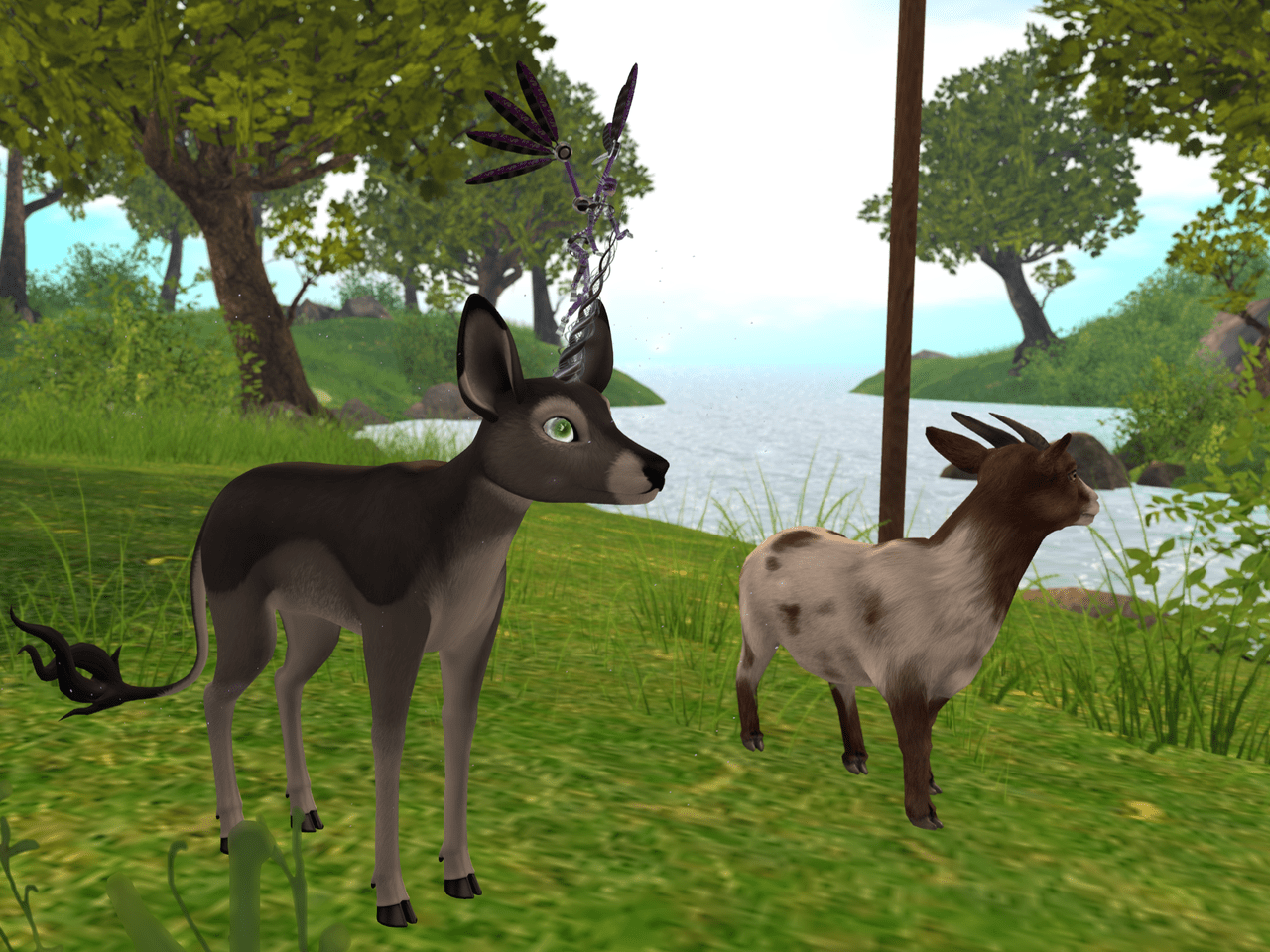 Deer And Loathing BLOG - 11