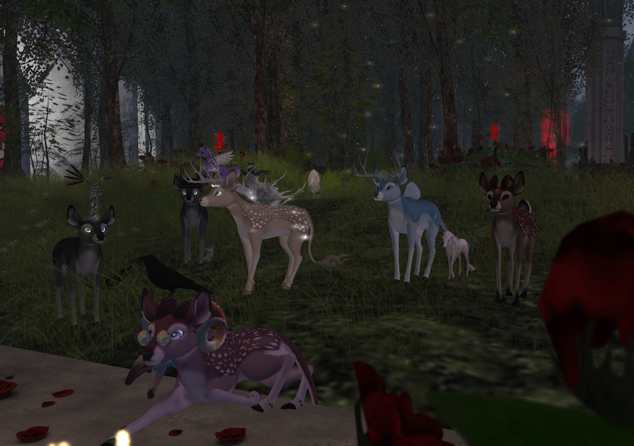 Deer And Loathing BLOG - 5