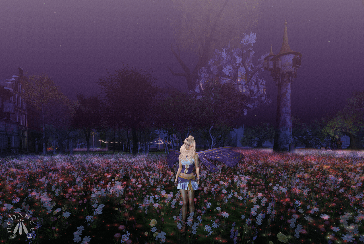 Faery At Night BLOG - 3