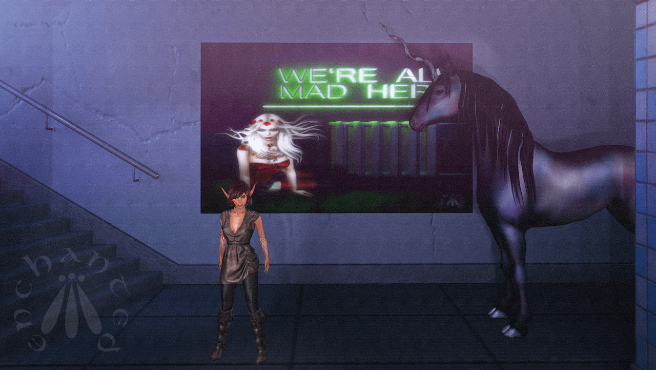 TAC's unicorn BLOG - 7