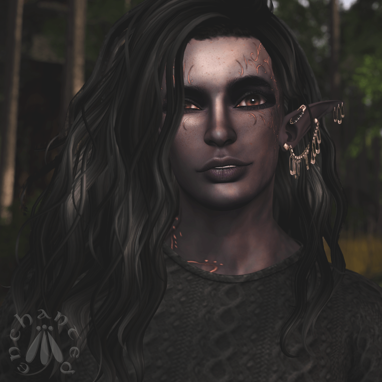 DaveyReboot BLOG - 2