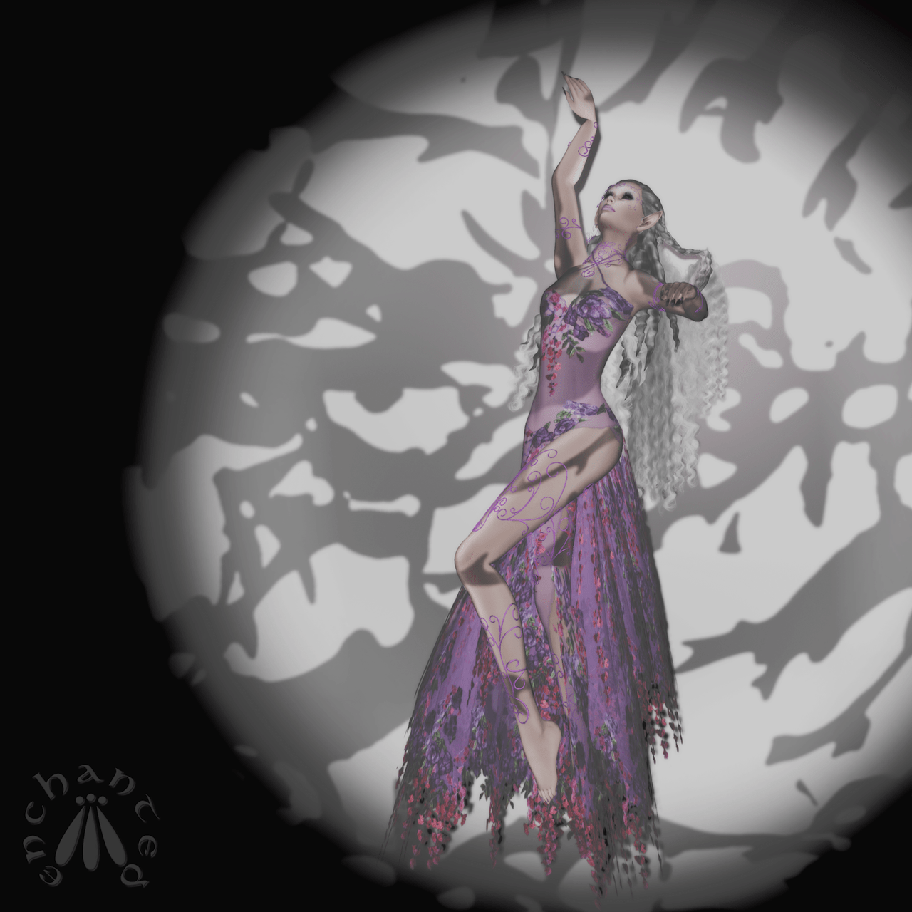 FairyDancer BLOG - 1