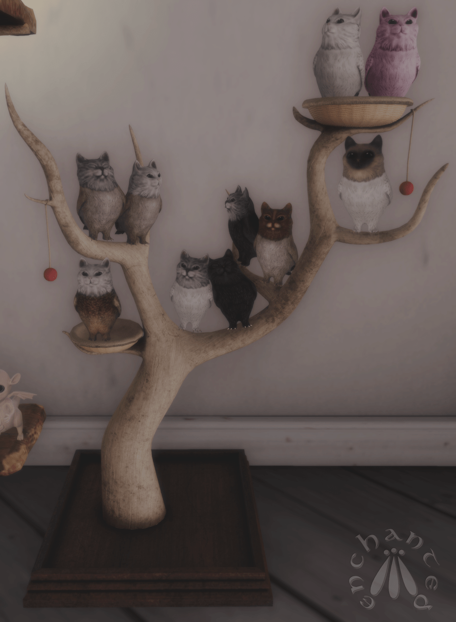 TWP's room AfP BLOG - 1