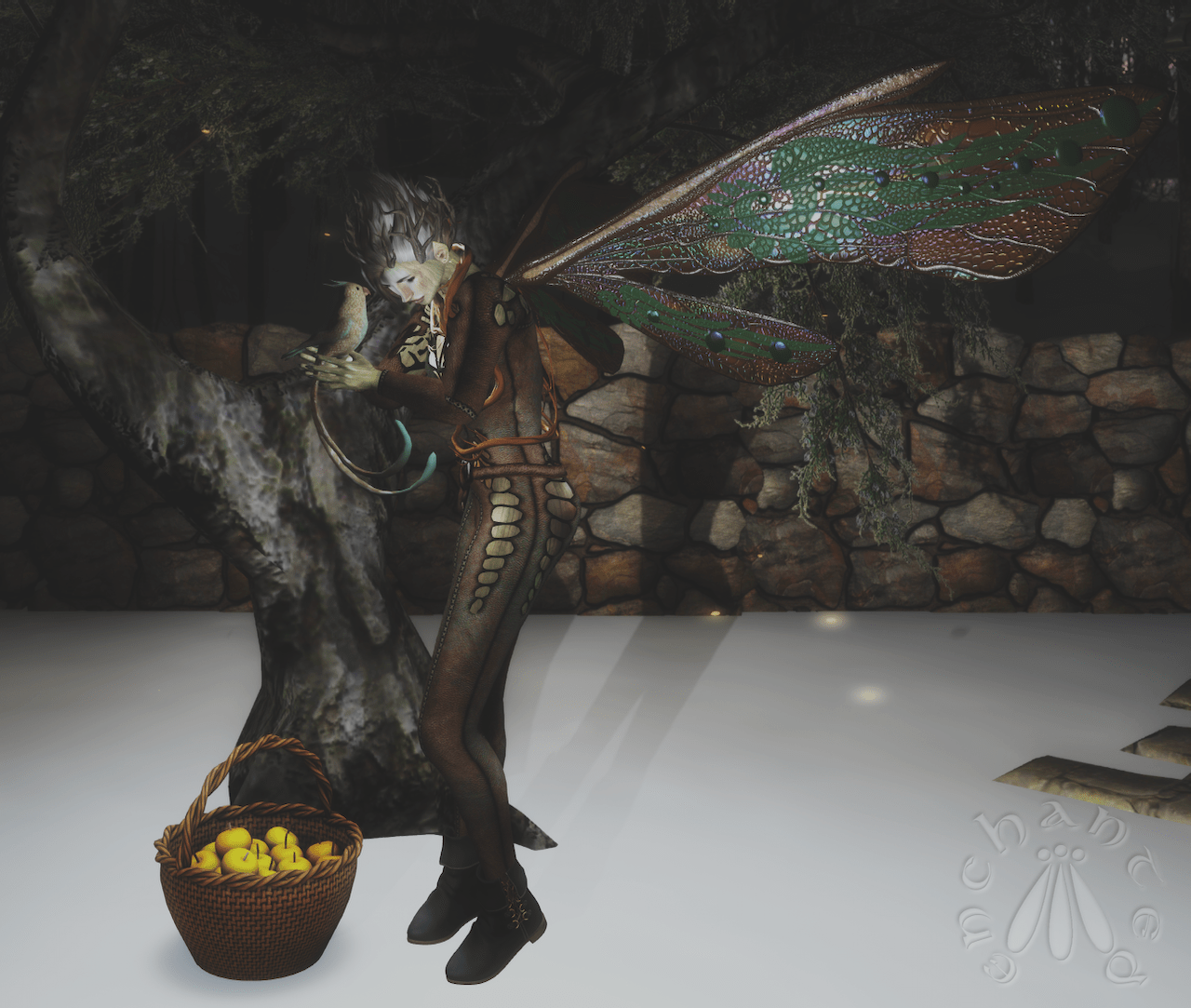 Juniper Tree BLOG - 4