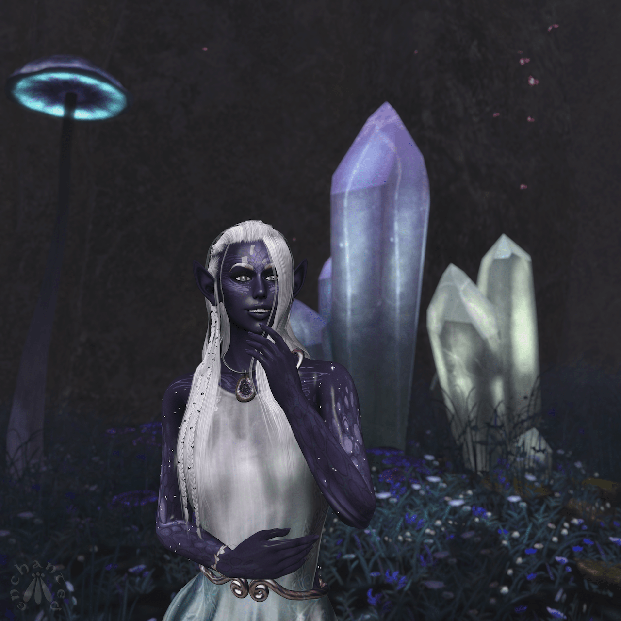 Twilight Spring BLOG - 5