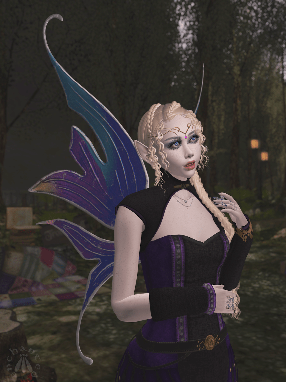 Trollhaugen BLOG - 2