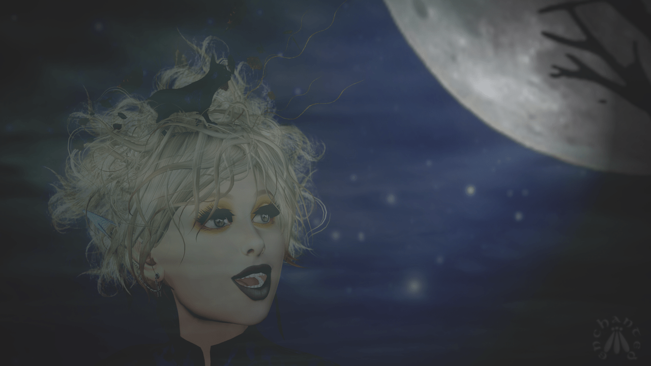 Moon Theatre BLOG - 4