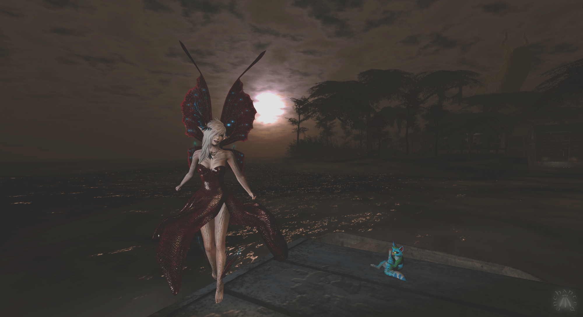 Kitty Photobomb! BLOG