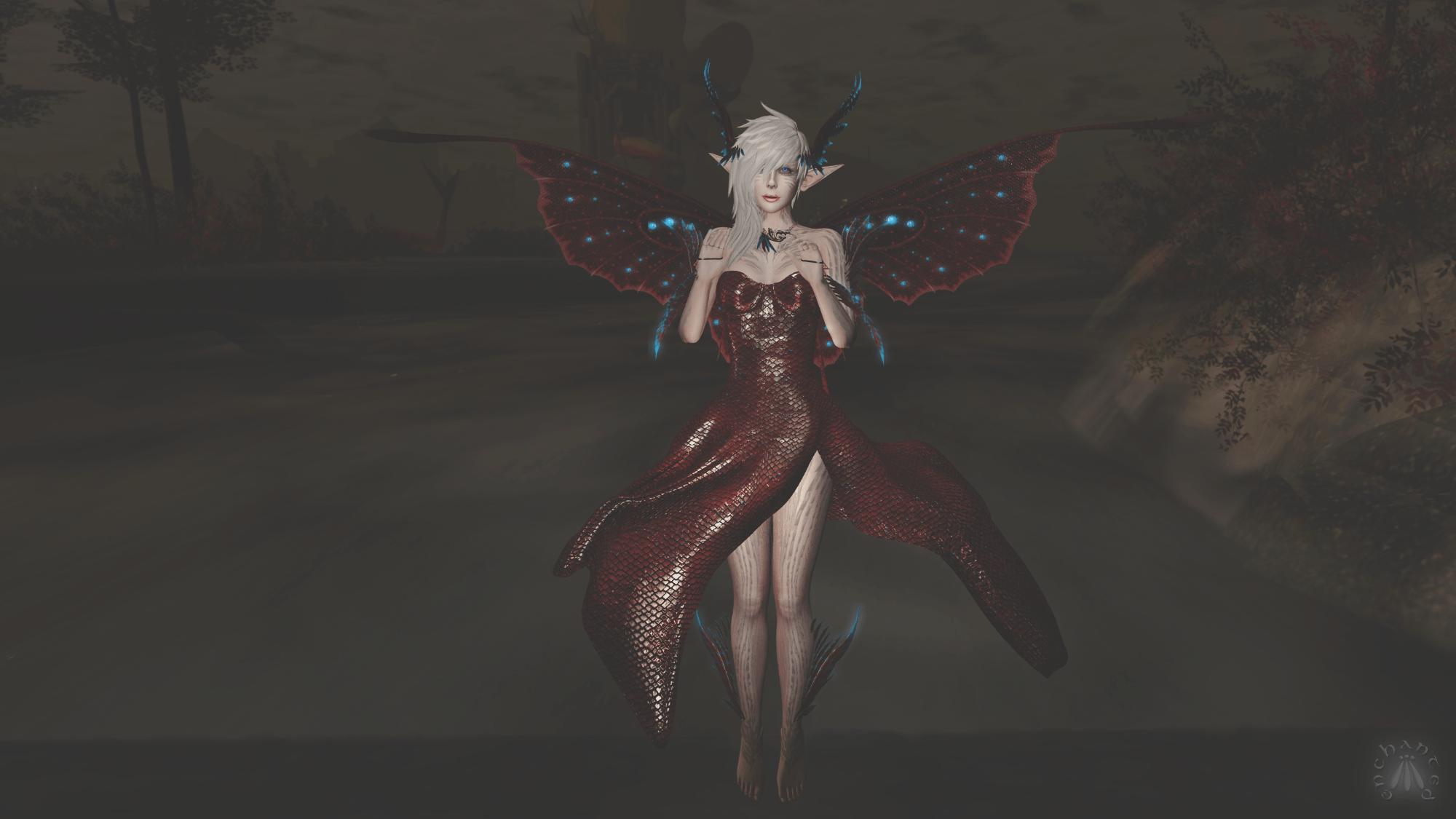 Snapshot_001 (1) BLOG