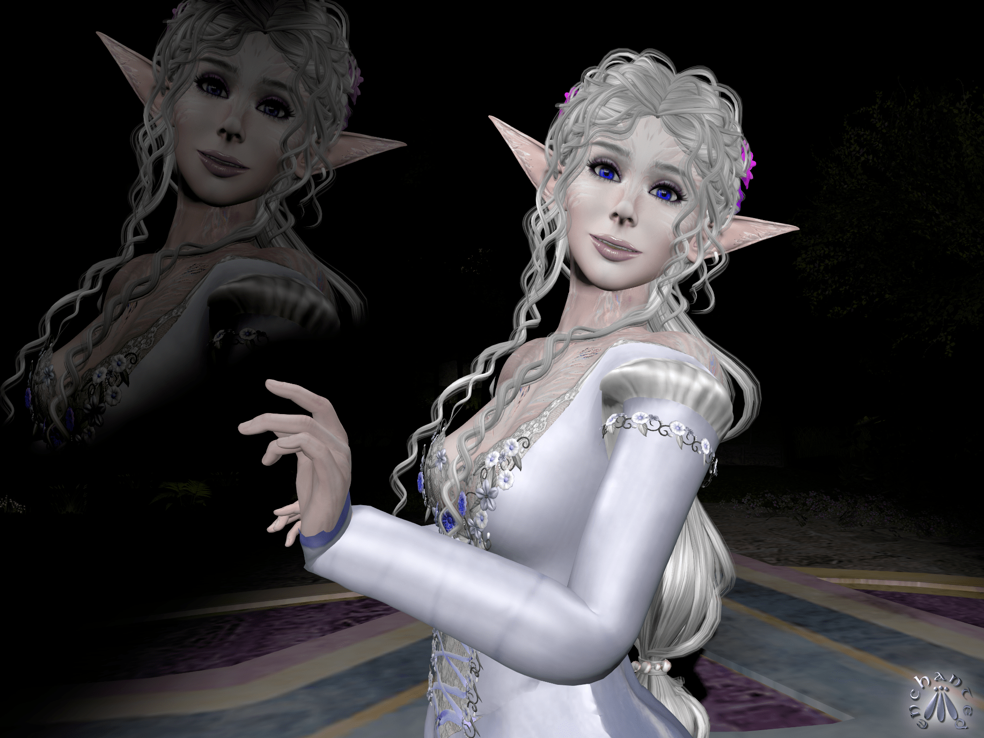 Snapshot_008 test BLOG