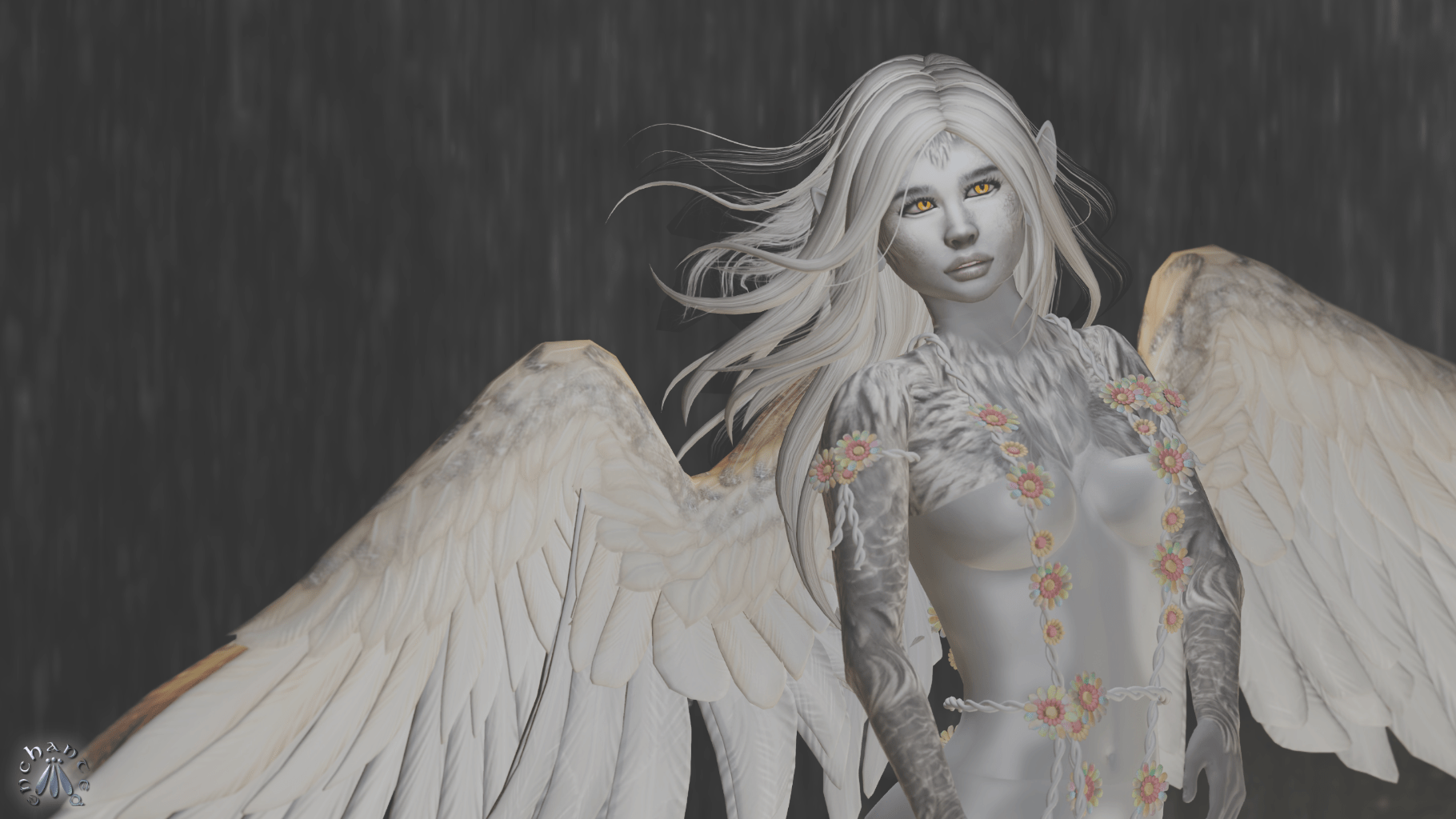 1313wlrplb to edit - 5 BLOG