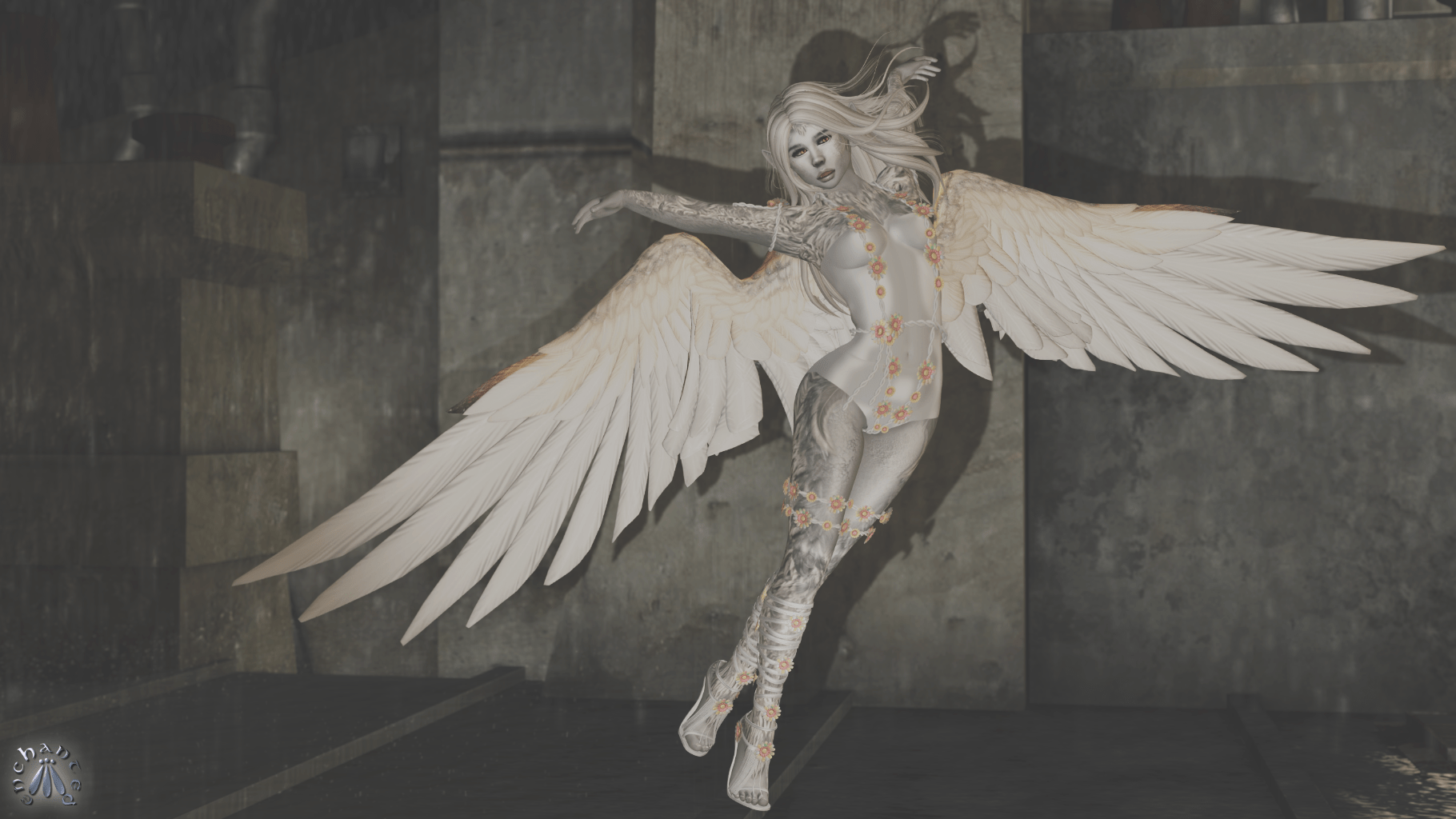 1313wlrplb to edit - 6 BLOG