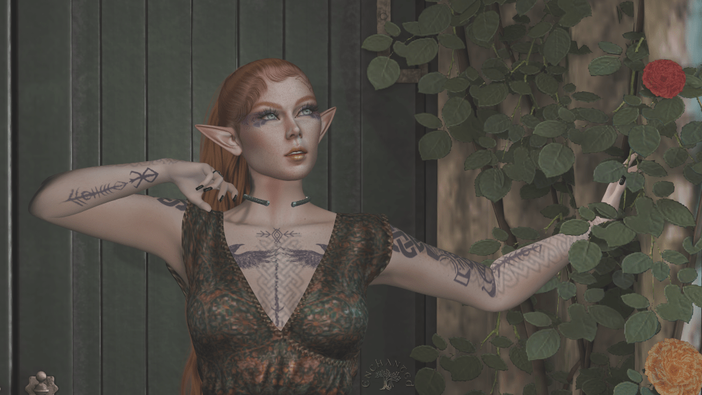 Salutations and Preparations